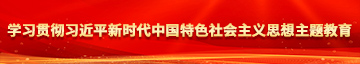 操淫水多逼毛多美女学习贯彻习近平新时代中国特色社会主义思想主题教育